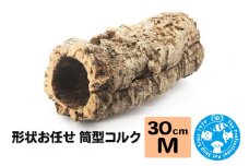 形状お任せ 筒型コルク Mサイズ 長さ30cm エアプランツ 着生植物