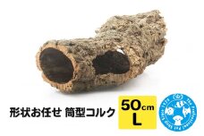 形状お任せ 筒型コルク Lサイズ 長さ50cm エアプランツ 着生植物