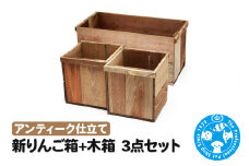 新りんご箱+木箱3点セット アンティーク仕立て ガーデニング DIY素材