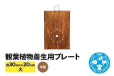 観葉植物着生用プレート 木製 大(約30×20cm) 1枚 コウモリラン ビカクシダ