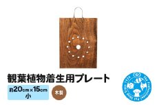 観葉植物着生用プレート 木製 小(約20×15cm) 1枚 コウモリラン ビカクシダ