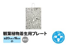 観葉植物着生用プレート 溶岩石 小(約20×15cm) 1枚 コウモリラン ビカクシダ