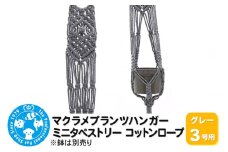 マクラメプランツハンガー ミニタペストリー コットンロープ 3号用 【グレー】