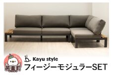 フィージーモジュラーSET