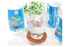 大宮盆栽だー！！335mlビン24本セット　【11100-0030】