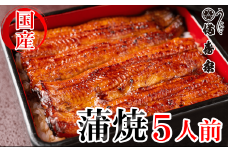 【満寿家】国産うなぎ蒲焼　5人前　【11100-0143】