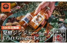 【5か月定期便】発酵ジンジャーエール ＜3種×4本＞×5回　【11100-0182】