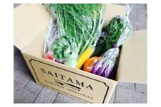 さいたまヨーロッパ野菜セット　【11100-0187】