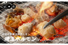 超級新鮮最強豚ホルモン「埼玉ホルモン」（白）　【11100-0209】