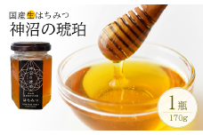 非加熱 国産生はちみつ『神沼の琥珀』　170g×1個　【11100-0358】
