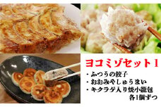 ヨコミゾセット１（ふつうの餃子・おおみやしゅうまい・キクラゲ入り焼小籠包　各1個ずつ）　【11100-0482】