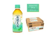 爽健美茶 300mlPET×24本×2箱　【11100-0541】