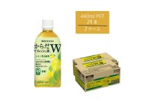 からだリフレッシュ茶W 440mlPET×24本×2箱　【11100-0544】