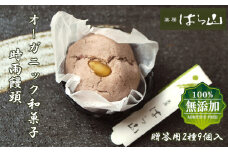 無添加和菓子　浦・和　9個入りセット　【11100-0549】