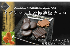 チョコレート詰合せ（極薄板チョコ＋アプリコット）　【11100-0551】