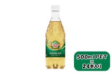 カナダドライ ジンジャーエール 500mlPET×24本　【11100-0569】