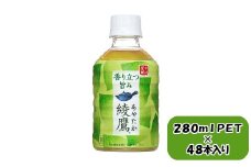 綾鷹 280mlPET×24本×2箱　【11100-0597】