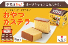 おやつカステラ　9個入　【11100-0640】
