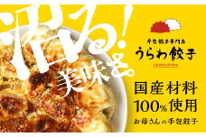 うらわ餃子　レギュラー10個・バジル＆チーズ10個セット　【11100-0725】