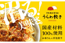うらわ餃子　レギュラー20個・しそ10個・旨辛10個セット　【11100-0728】