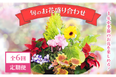 【全6回定期便】1年中季節のお花が楽しめる！旬のお花盛り合わせ（2か月に1回お届け）　【11100-0735】