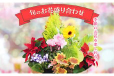 季節のお花が楽しめる！旬のお花盛り合わせ　【11100-0762】