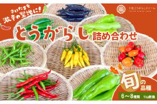 【十色とうがらしファーム】とうがらし　旬の品種詰合せ　【11100-0805】