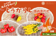 【十色とうがらしファーム】とうがらし　＜激辛＞品種詰合せ　【11100-0806】