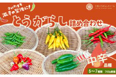 【十色とうがらしファーム】とうがらし　＜中辛＞品種詰合せ　【11100-0807】