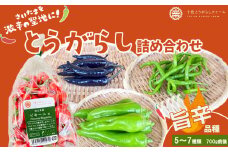 【十色とうがらしファーム】とうがらし　＜旨辛＞品種詰合せ　【11100-0808】