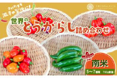 【十色とうがらしファーム】世界のとうがらし詰合せ＜南米＞　【11100-0810】