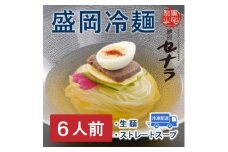 盛岡冷麺セット（6人前）　【11100-1614】