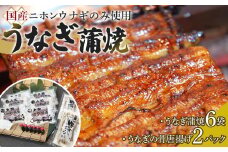 【国産ニホンウナギのみ使用】大穀のうなぎ蒲焼6袋、うなぎの骨唐揚げ2パックセット【要冷凍】 ／ 真空パック 紀州備長炭 特殊凍結 秘伝のたれ 埼玉県