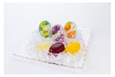 川越夜舟フルーツゼリー15個入 ／ 冷菓 巨峰 シャインマスカット オレンジ スイーツ 埼玉県