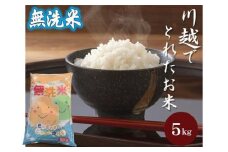無洗米　川越でとれたお米　5kg ／ 白米 こしひかり 彩のきずな 彩のかがやき ３種類ブレンド米　埼玉県