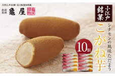 こがね芋　10個入 ／ 和菓子 銘菓 埼玉県