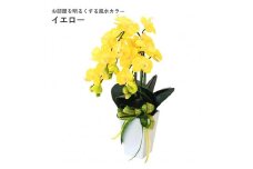 02 造花 シルクフラワーのミニ胡蝶蘭の鉢植え 3本立 CT触媒 イエロー ／ お花 コチョウラン 埼玉県