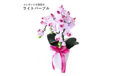 01 造花 シルクフラワーのミニ胡蝶蘭の鉢植 3本立 CT触媒 ライトパープル ／ お花 コチョウラン 埼玉県