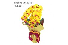 造花 シルクフラワーの胡蝶蘭の鉢植え 3本立 CT触媒 イエロー ／ お花 コチョウラン 埼玉県