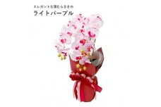 造花 シルクフラワーの胡蝶蘭の鉢植 3本立 CT触媒 ライトパープル ／ お花 コチョウラン 埼玉県