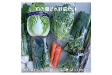 旬の朝どれ野菜おまかせセット ／ やさい 朝採れ 埼玉県