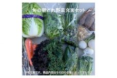 旬の朝どれ野菜充実おまかせセット ／ やさい 朝採れ 埼玉県