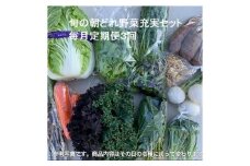 旬の朝どれ野菜充実セット×3回 ／ やさい 朝採れ 埼玉県