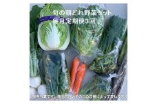 旬の朝どれ野菜セット×3回 ／ やさい 朝採れ 埼玉県