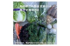 旬の朝どれ野菜充実セット×6回 ／ やさい 朝採れ 埼玉県