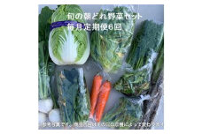 旬の朝どれ野菜セット×6回 ／ やさい 朝採れ 埼玉県
