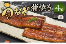 小川菊のうなぎの蒲焼き 4尾分 ／ 鰻 ウナギ 埼玉県