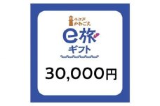  旅先納税・小江戸かわごえe旅ギフト（寄附額100000円） ／ 電子商品券 川越市内 店舗 埼玉県