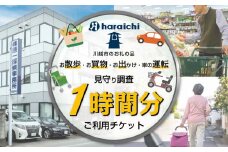 ご家族の散歩・買物・運転の見守り調査チケット（１時間分）