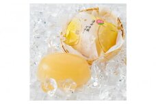 清水白桃（桃ゼリー）7個入 ／ 冷菓 もも スイーツ 埼玉県
